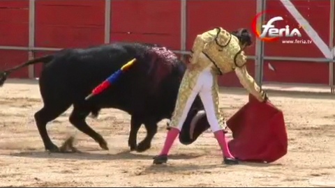 tambillo-unique-oreille-pour-michelito