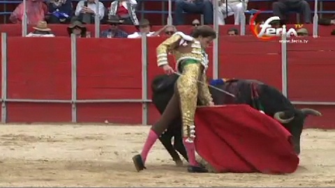 tambillo-carton-plein-pour-saldivar