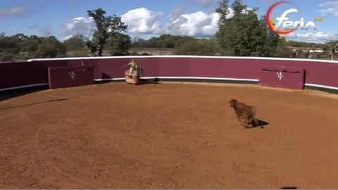 tentadero-chez-pedraza-de-yeltes