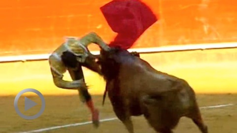 fallas-blessure-de-el-califa