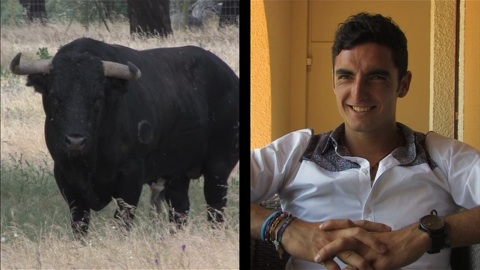 Feria TV : Thomas Dufau avant Tyrosse