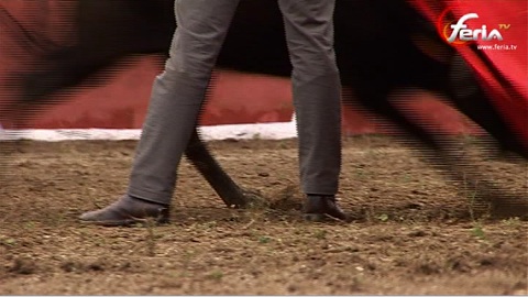 tienta-avec-posada-garrido-et-gines-marin