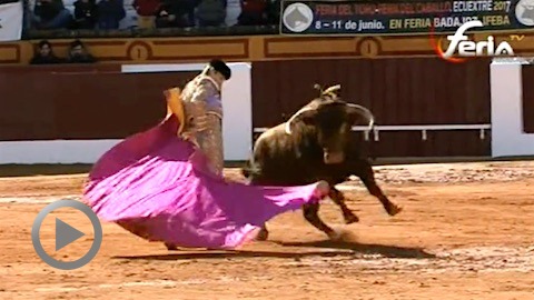 olivenza-bonne-novillada-de-fernando-pena