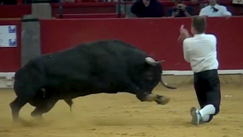 zaragoza-festejos-populares-pilar-2014