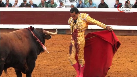 torosysalsa-torrestrella-fandino.jpg