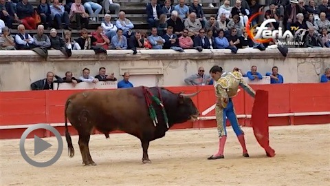 nimes-paco-urena-en-torerazo