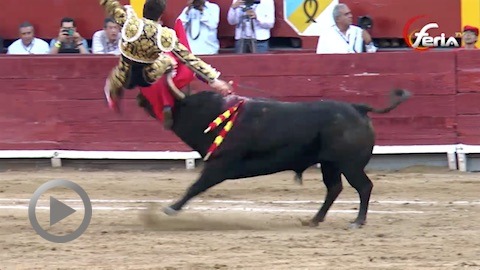 acho-cornada-de-daniel-luque