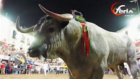coria-fiestas-de-san-juan-2018