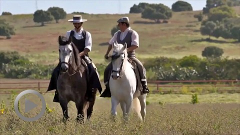 documentaire---le-cheval-espagnol-un-cheval-d’exception
