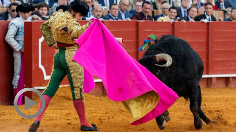 seville-morante-debouche-le-flacon