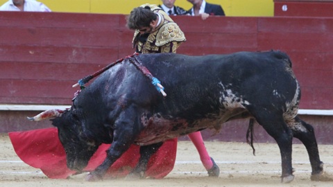 3-orejas-en-la-segunda-de-valencia