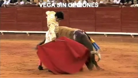 salvador-vega-a-algeciras