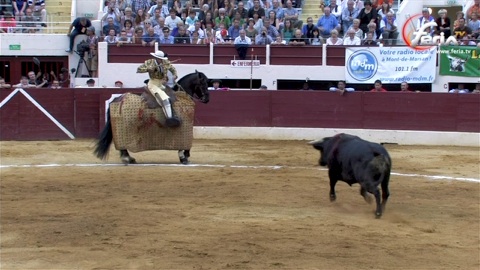 grande-novillada-de-valdellan-a-vic