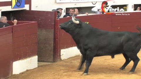 vic-grande-corrida-de-dolores-aguirre