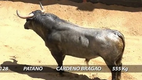 seville-les-victorino-martin