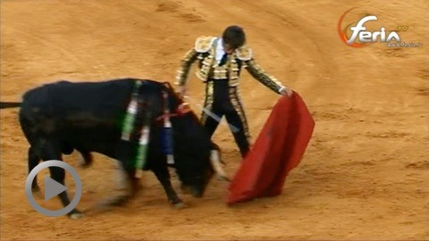 jerez-triomphe-du-juli