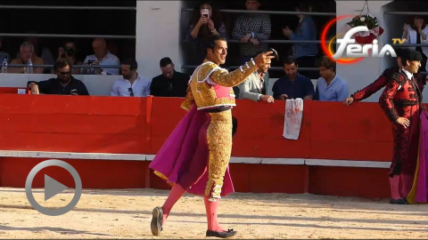 ales-oreille-de-morenito-de-aranda-face-aux-yonnet