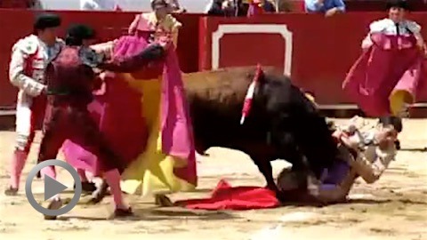 cornada-de-fernando-tendero