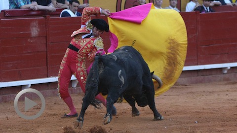 algeciras-morante-a-gusto