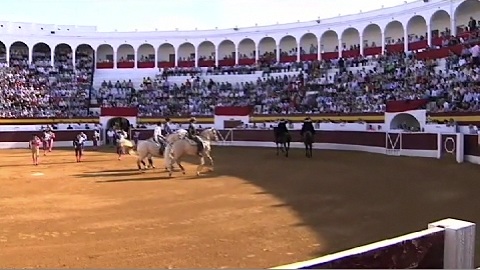 carton-plein-a-zafra